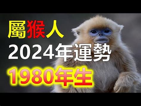 1980 屬猴|1980年生猴：性格解密